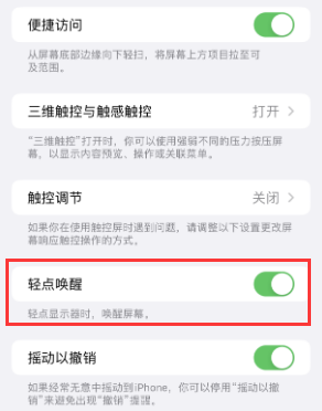 上饶苹果授权维修站分享iPhone轻点无法唤醒怎么办 