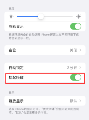 上饶苹果授权维修站分享iPhone轻点无法唤醒怎么办