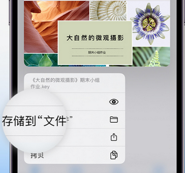 上饶apple维修中心分享iPhone文件应用中存储和找到下载文件