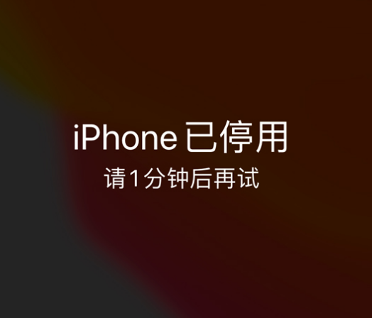 上饶苹果手机维修分享:iPhone 显示“不可用”或“已停用”怎么办？还能保留数据吗？ 