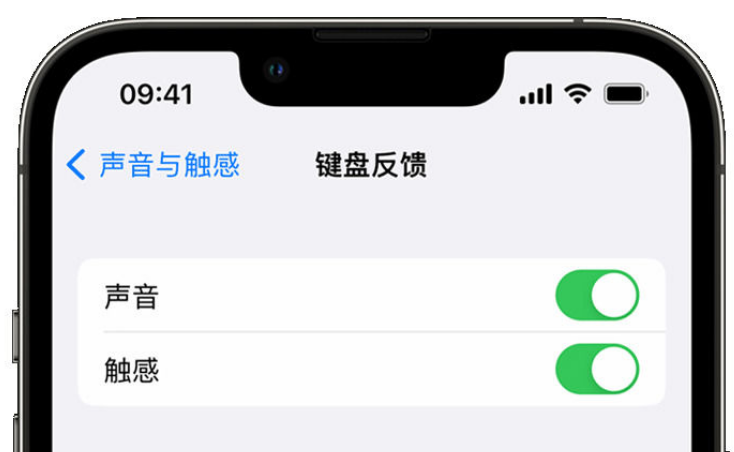 上饶苹果手机维修分享iPhone 14触感键盘使用方法 