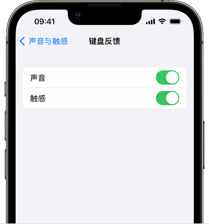 上饶苹果14维修店分享如何在 iPhone 14 机型中使用触感键盘 