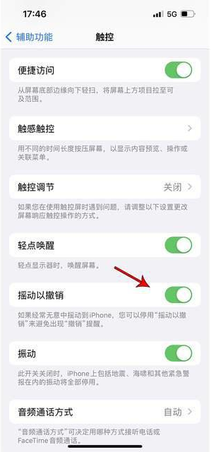 上饶苹果手机维修分享iPhone手机如何设置摇一摇删除文字 